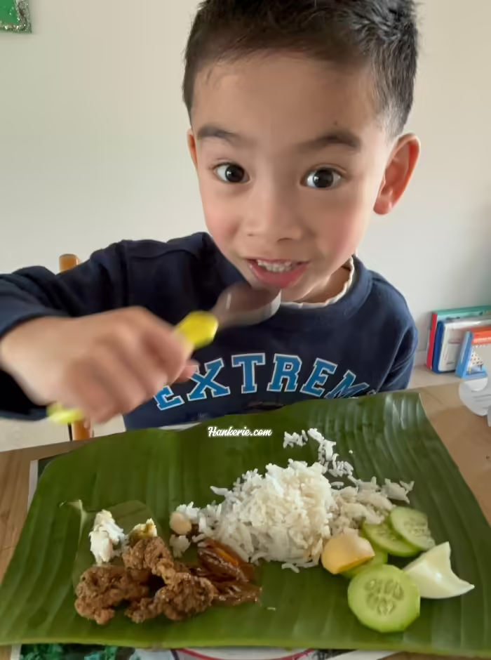 Malaysian Nasi lemak bungkus Coconut milk Rice